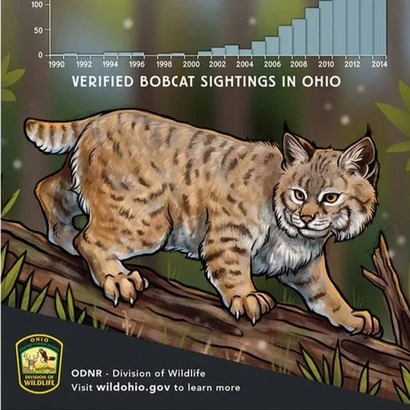 Ohio Division of Wildlife