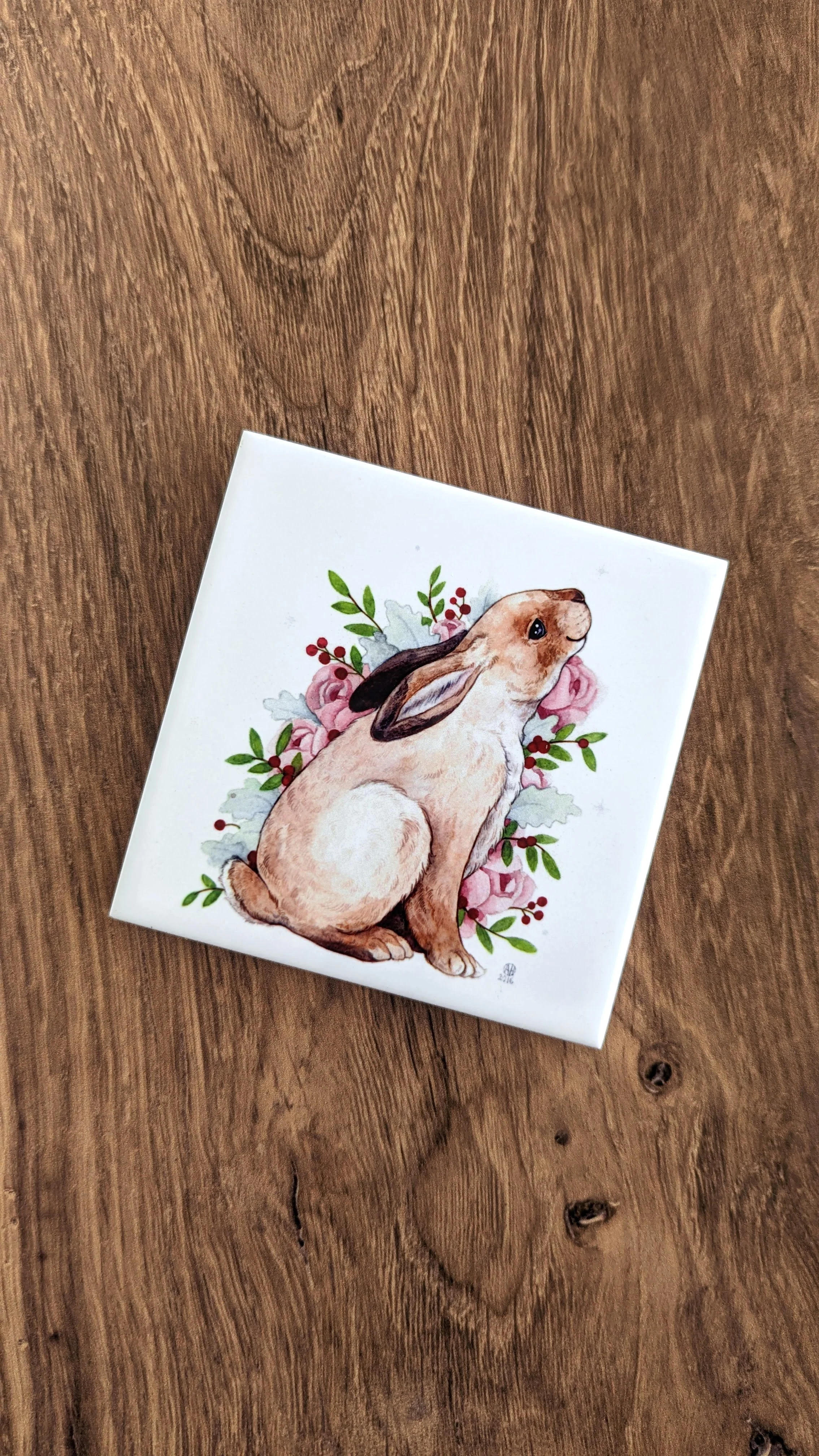 Coasters_2023_Rabbit-2.jpg