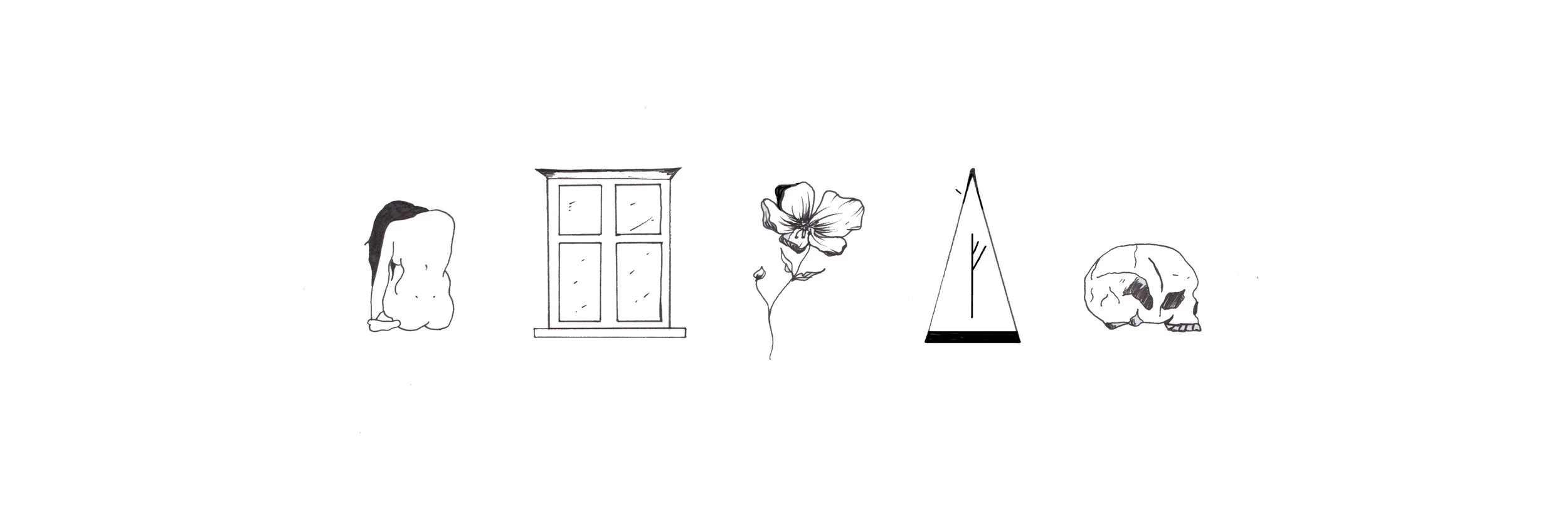 web header.jpg