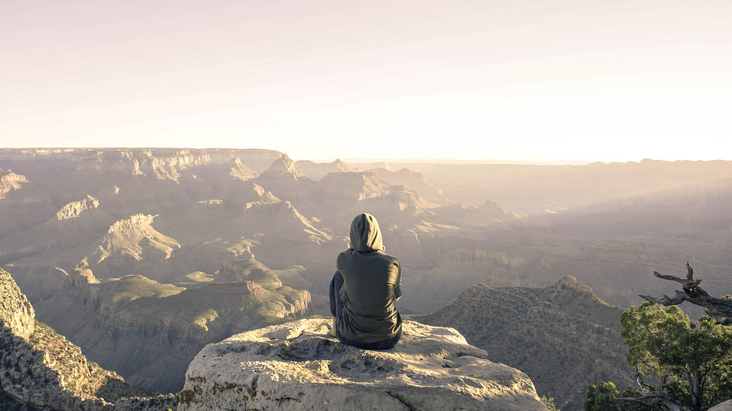 The Grand Canyon North Rim