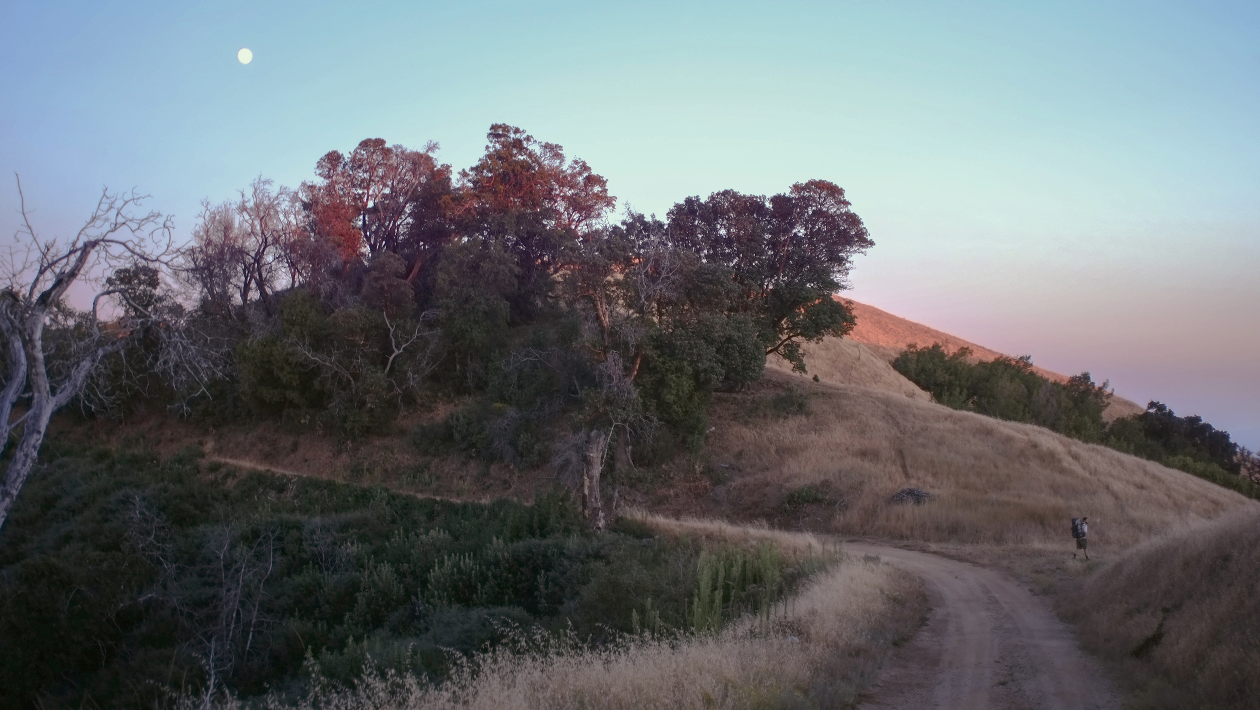 landscape01.jpg