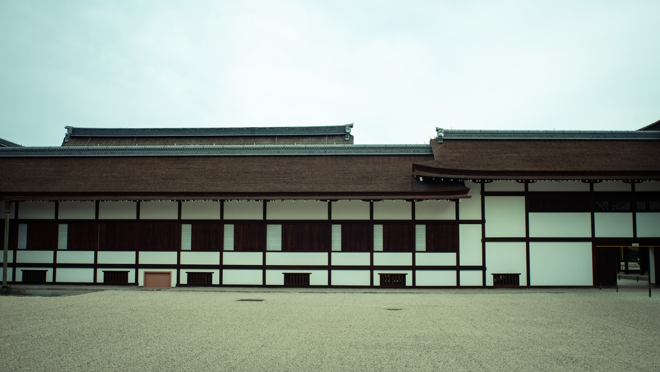 DSCF5511.jpg