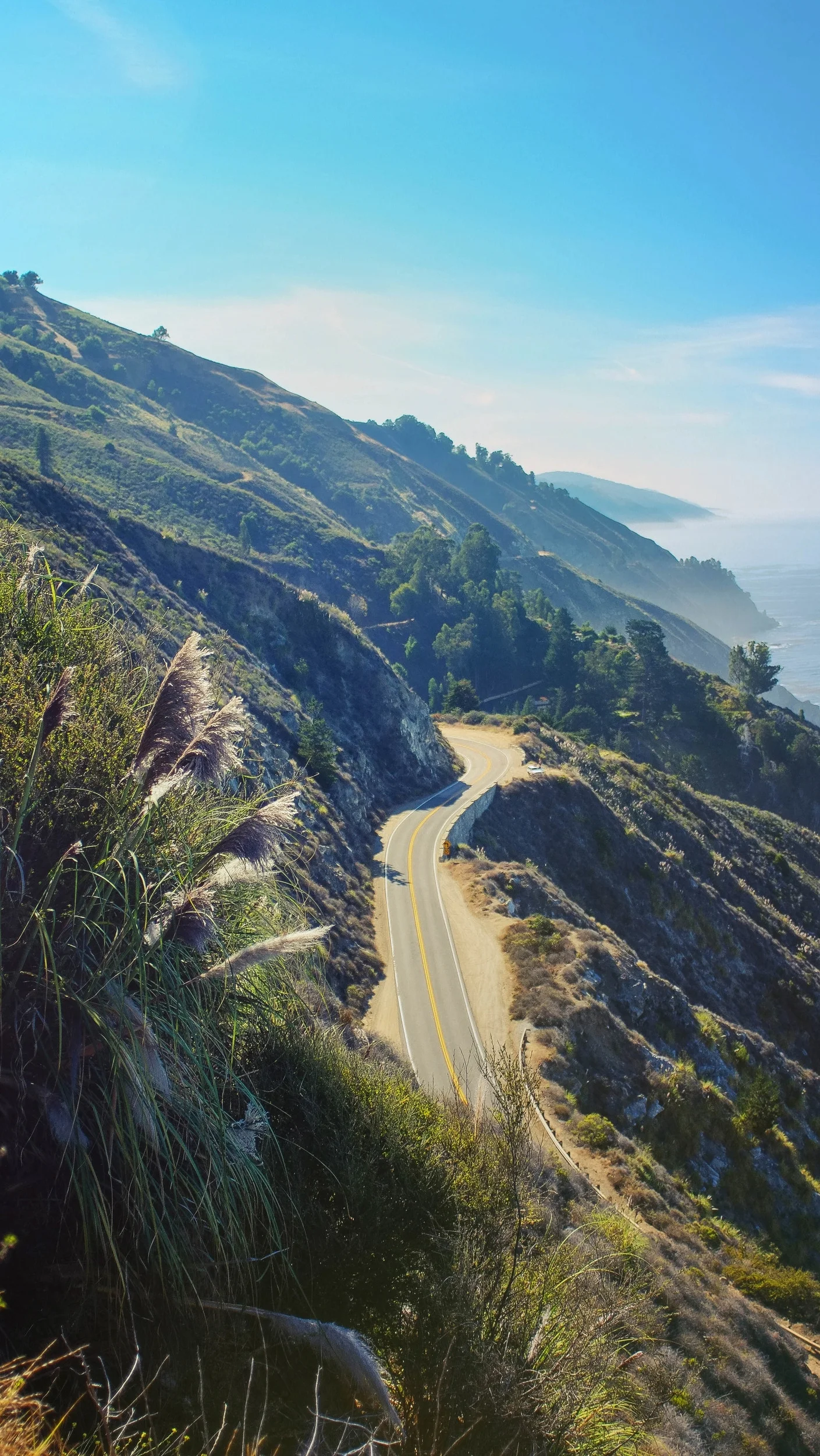 landscape03a.jpg