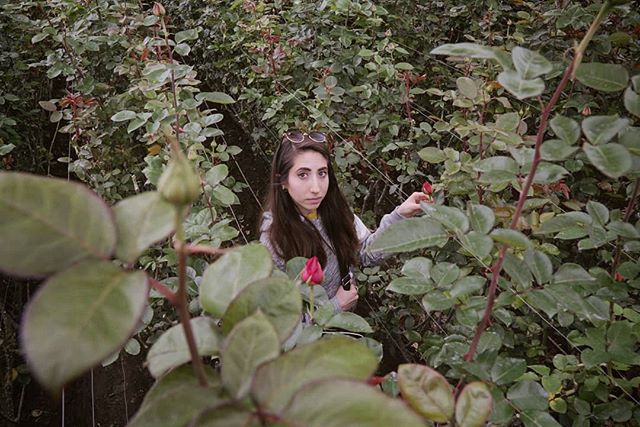 I don't have any photos of the superbloom, but here's @lauralaham in an aisle of roses.  Our guide insisted on me getting this photo as he practically hoisted me on his shoulders.  Five stars, would recommend.