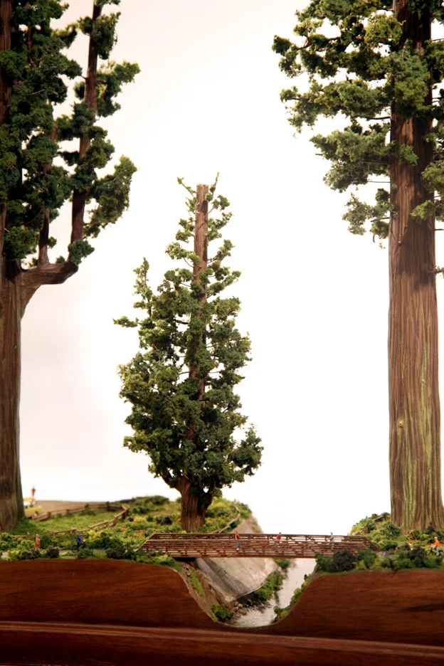 palo alto.jpg