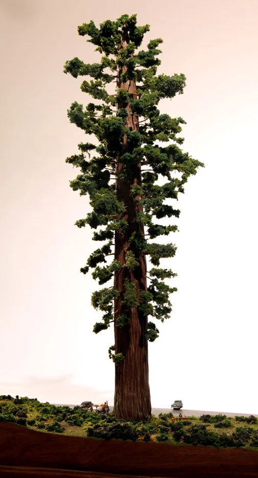 treehouse2.jpg