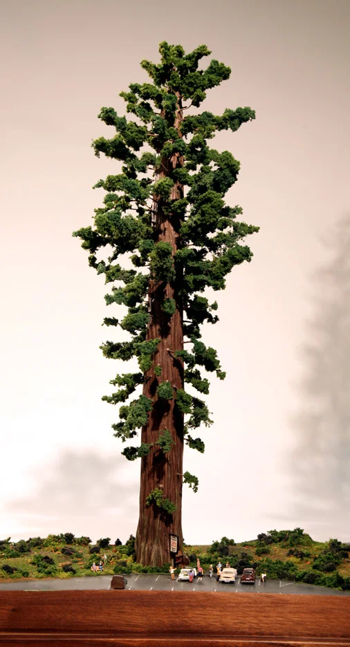 treehouse.jpg