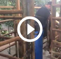 WATCH THE VIDEO HERE !