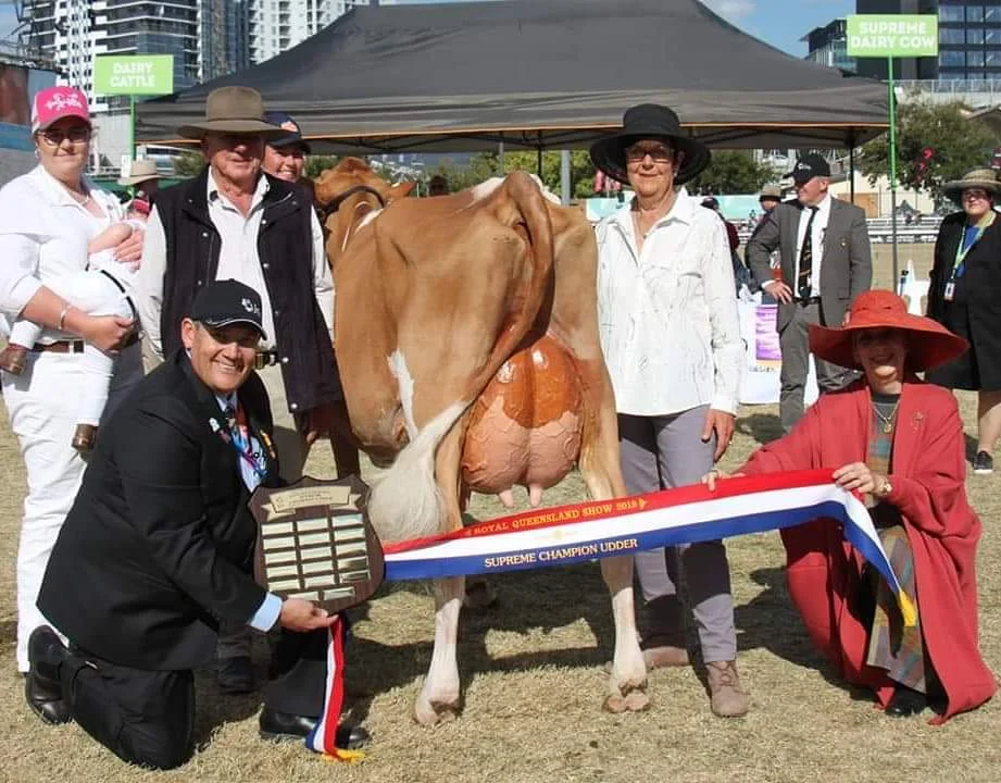 Francis 12 Udder.jpg