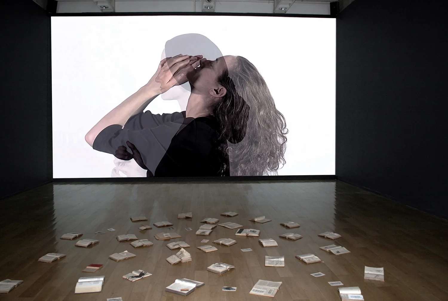 Monika Weiss, Sustenazo (Lament II) , 2012-2013; view of the solo exhibition at Museo de la Memoria y Los Derechos Humanos, Santiago, Chile © Monika Weiss 2012 .Collection Museo de la Memoria