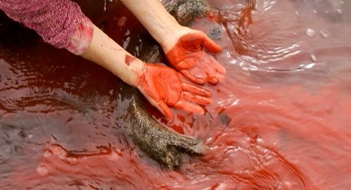 Conversation with Cecilia Vicuña as part of Flaherty Seminar Program 3