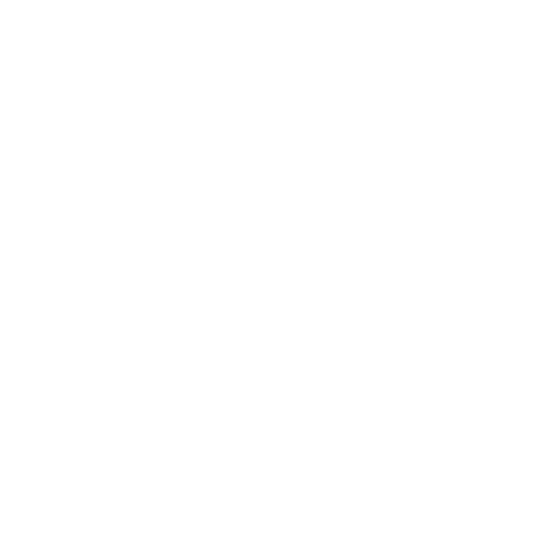 12 All-Conference Players