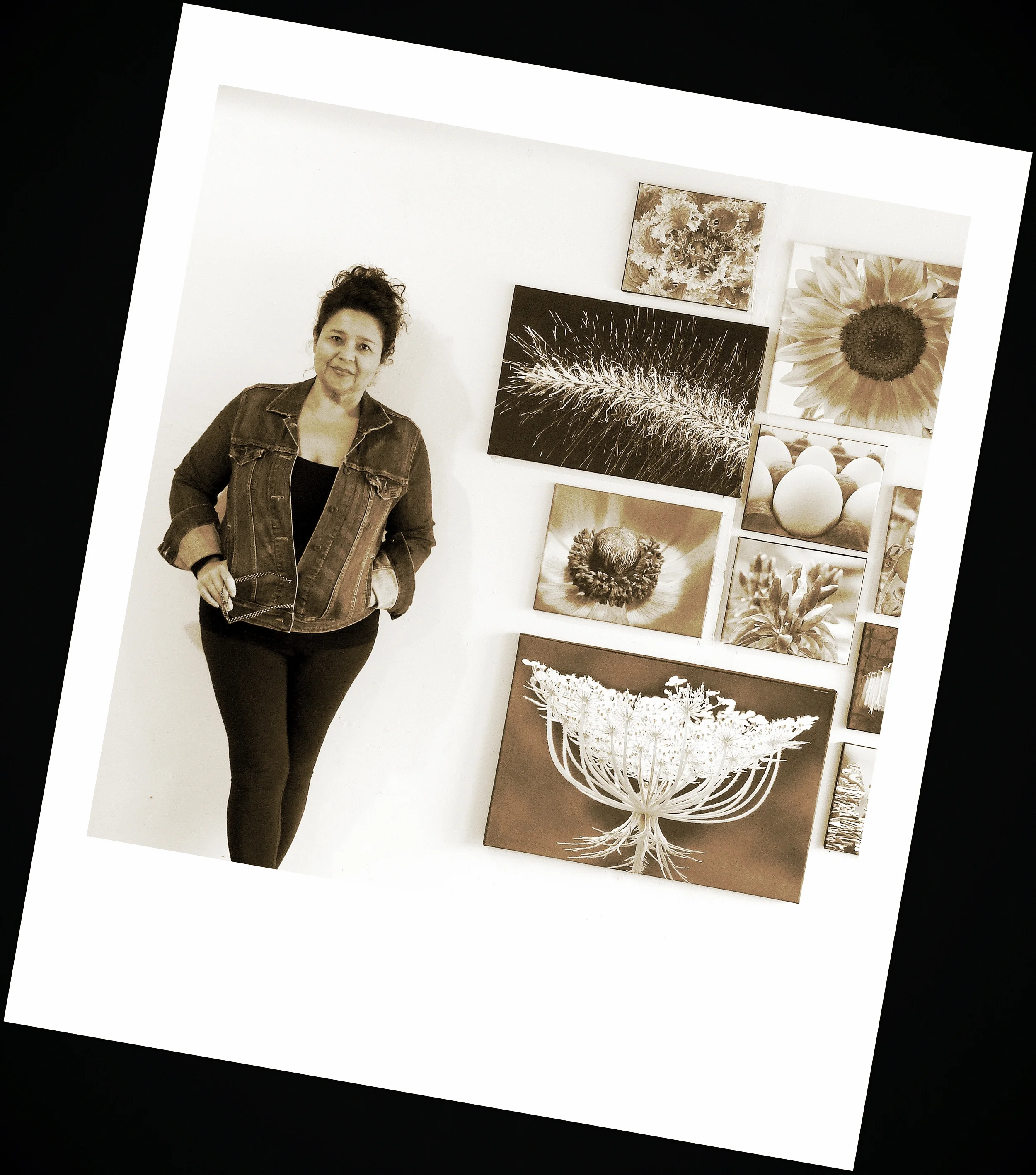  All images copyright Lou Sisneros