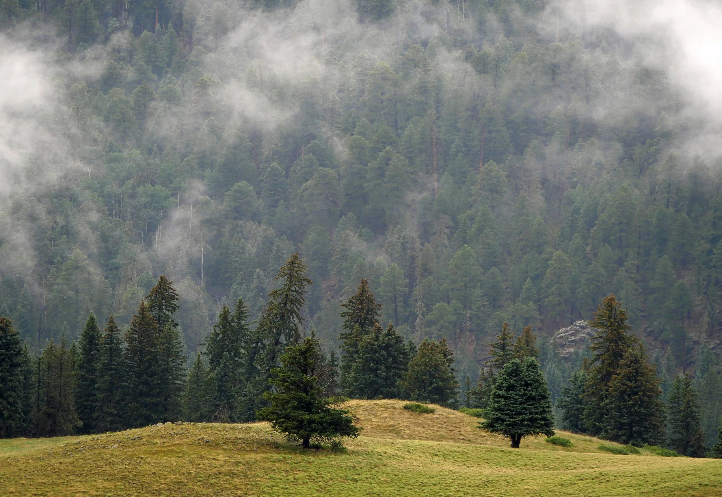 Cloud Fall in the Caldera