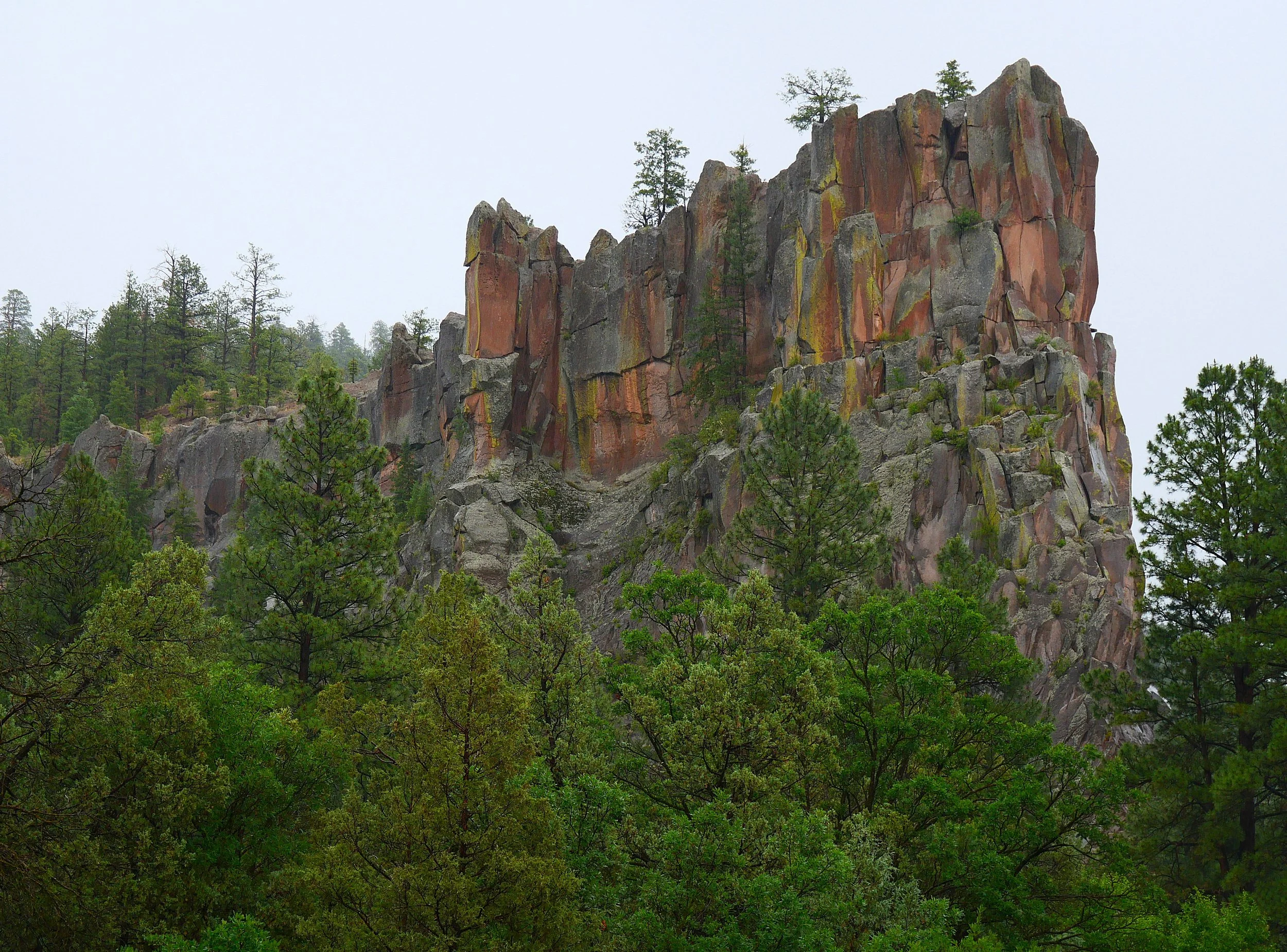 P1016217a.JPG