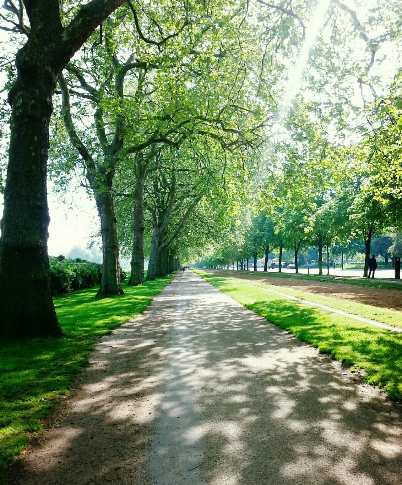 Setting REALISTIC fitness goals - and sticking to them!