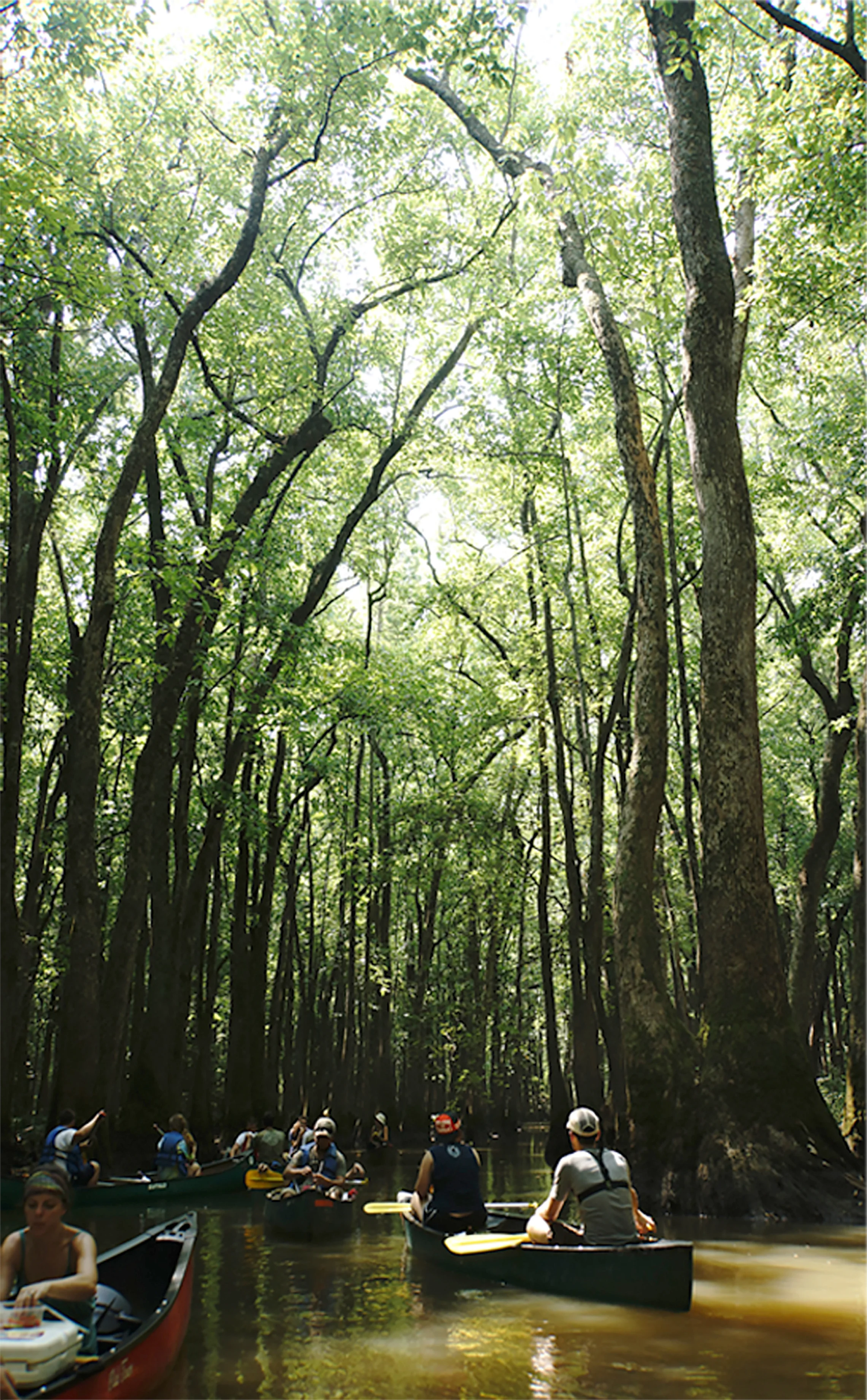 bayou deview float.jpg