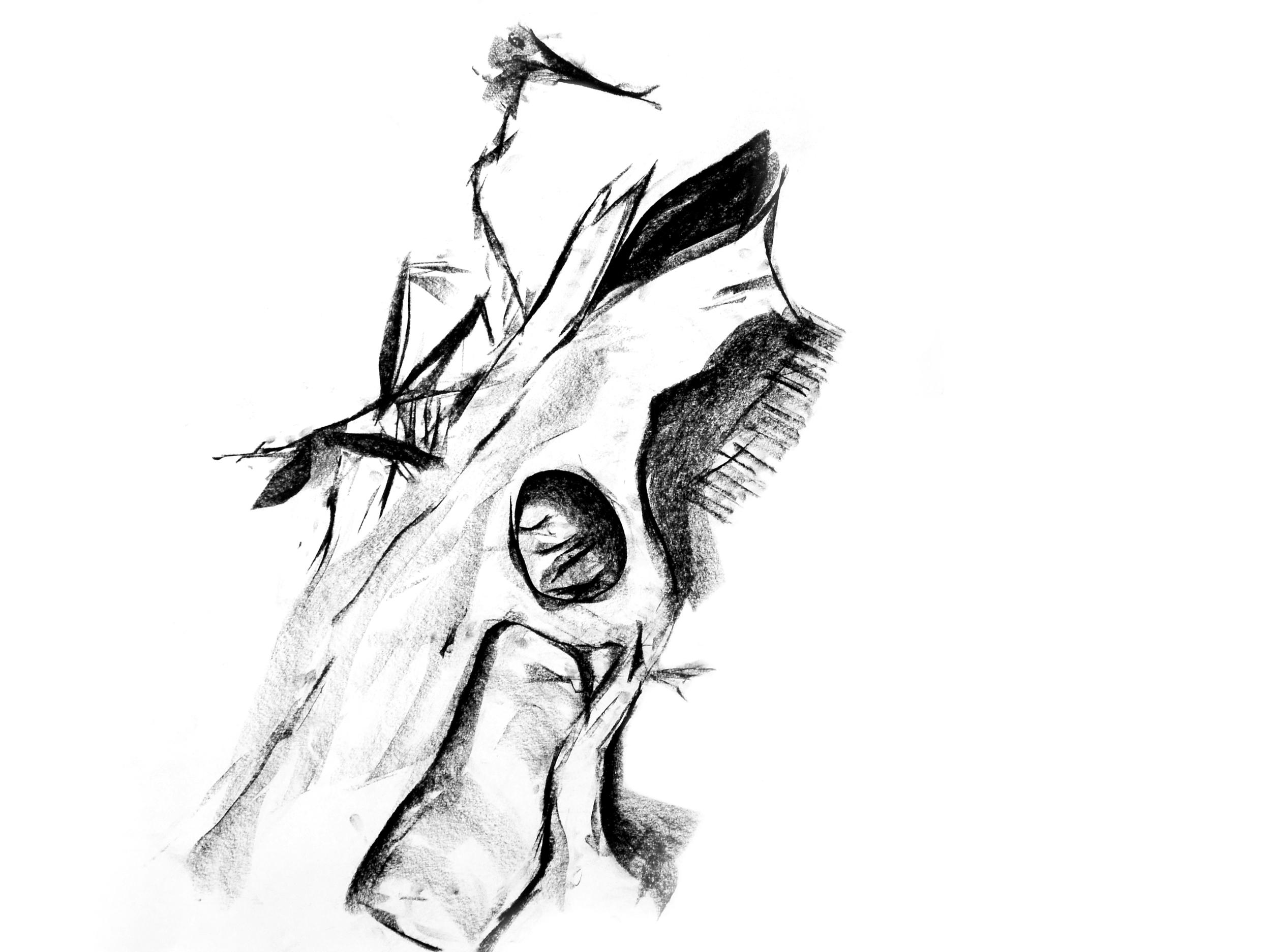 COW CHICKEN 2_SM1_8079.jpg