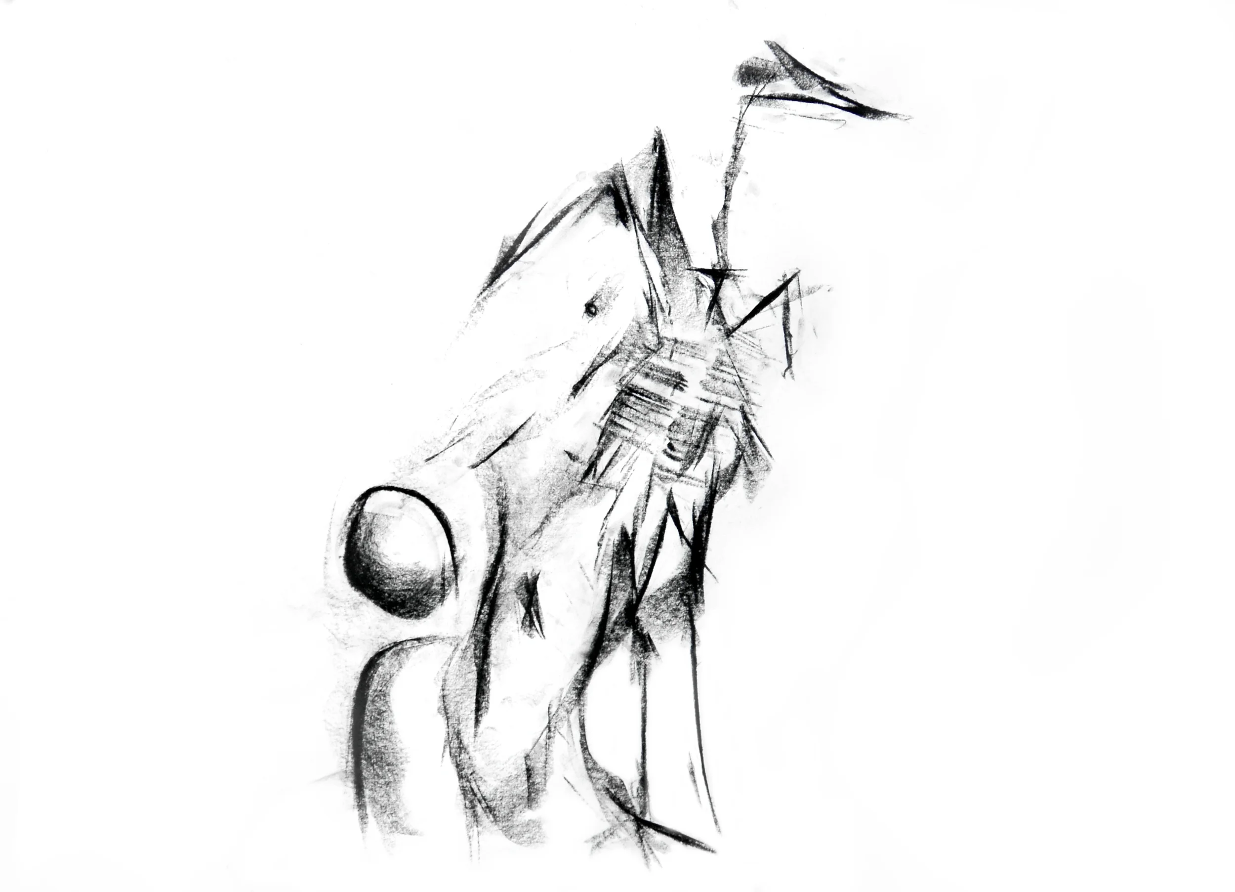 COW CHICKEN 1_SM1_8078.jpg