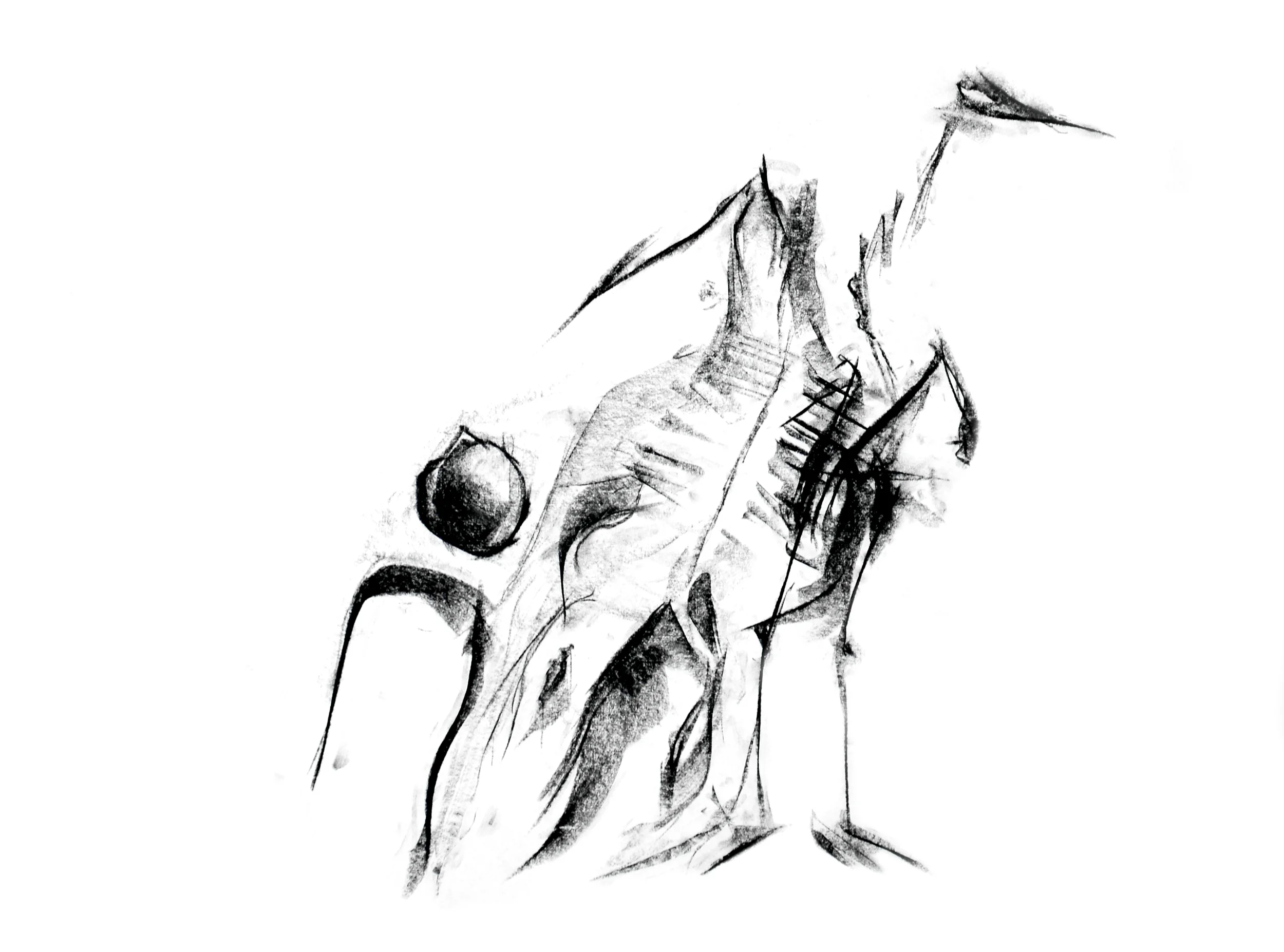 COW CHICKEN 3_SM1_8080.jpg