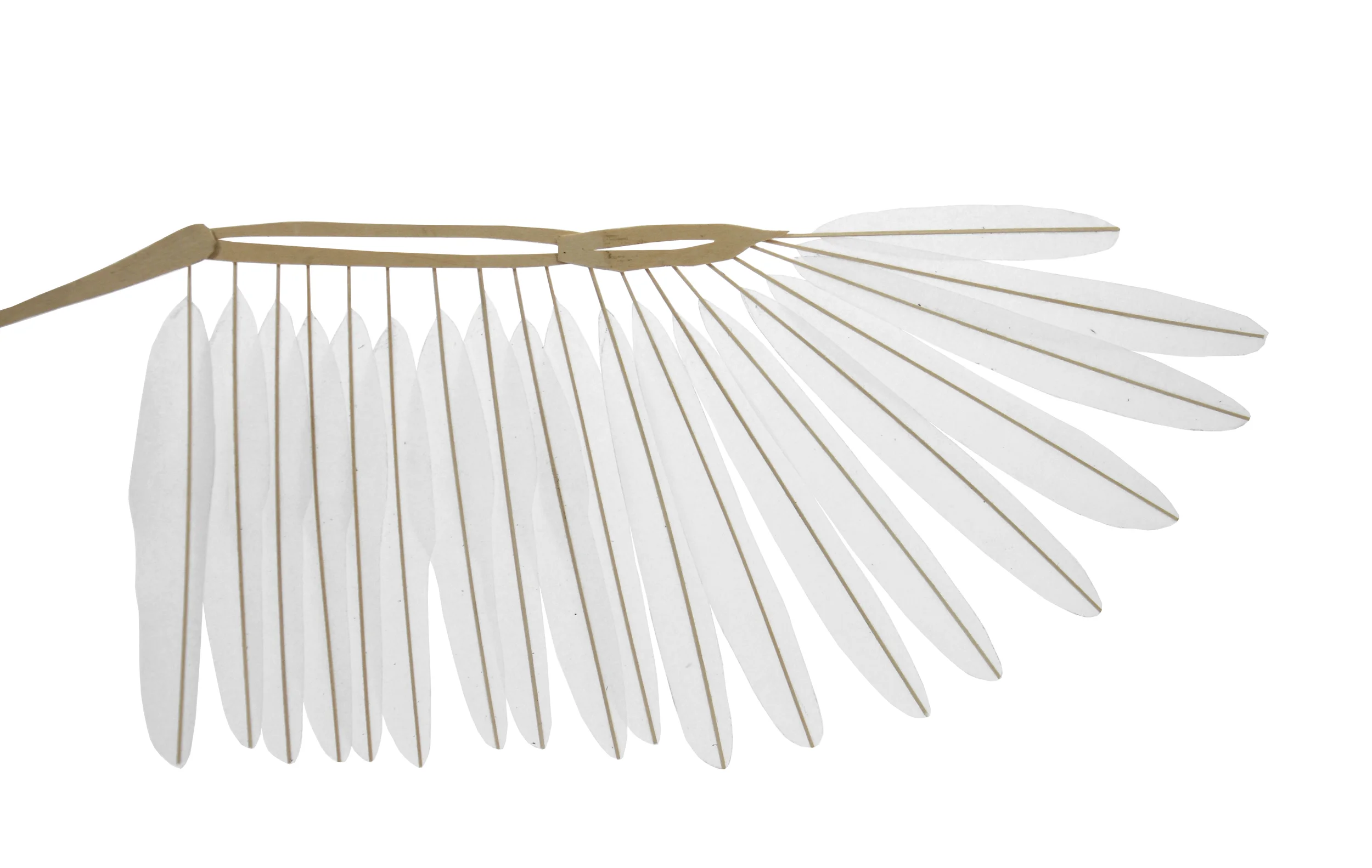 TRACE WING_SM1_7918 - no background.jpg