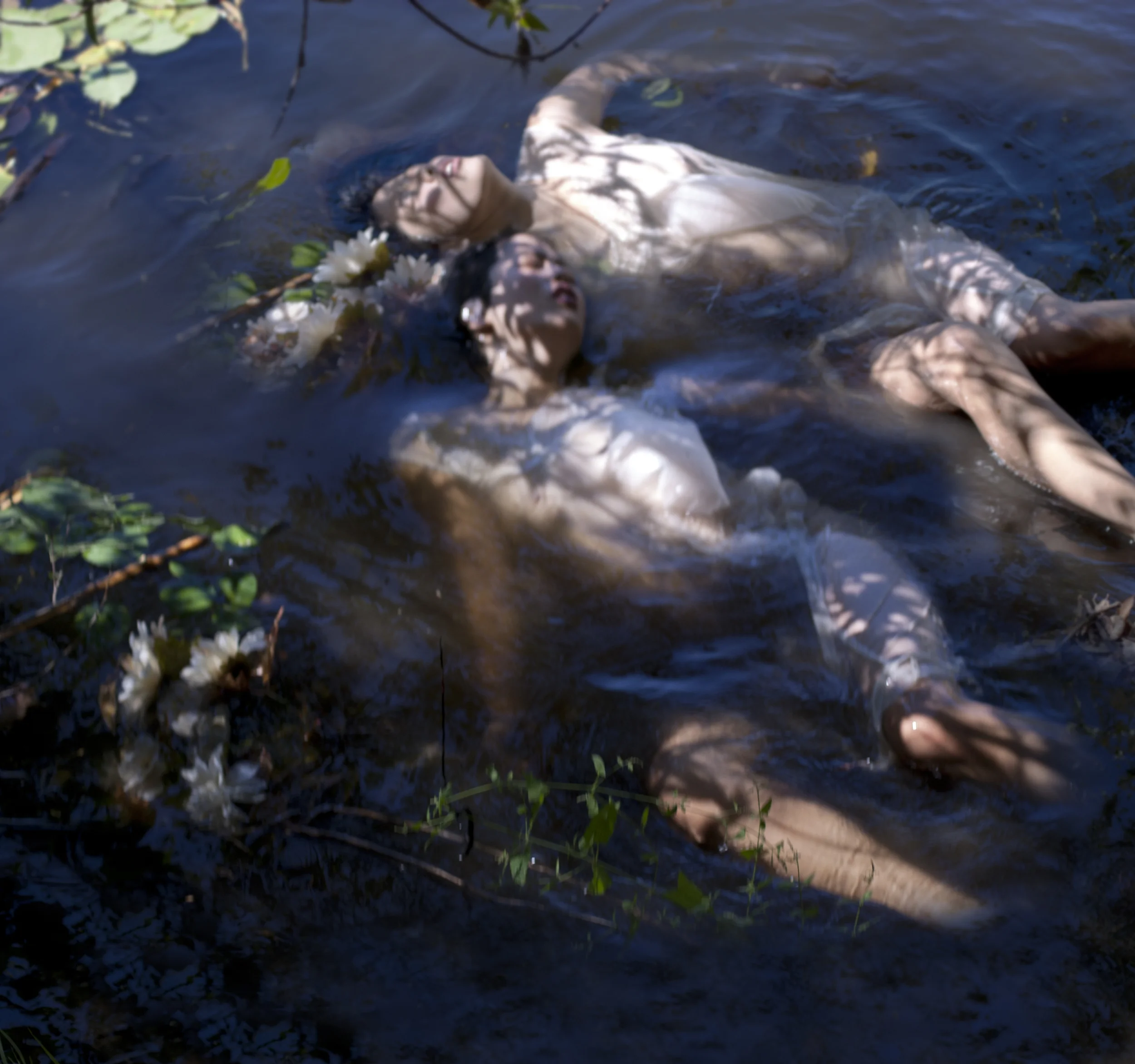 Copulating Water Moccasins