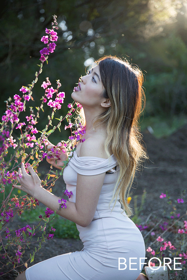 posies-dreamy-pre.gif