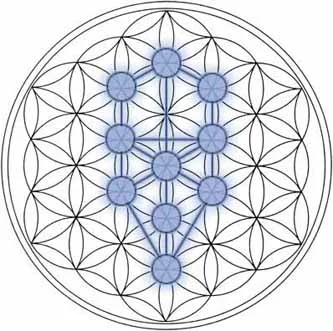 The Diamond Tree - OPEN for Business