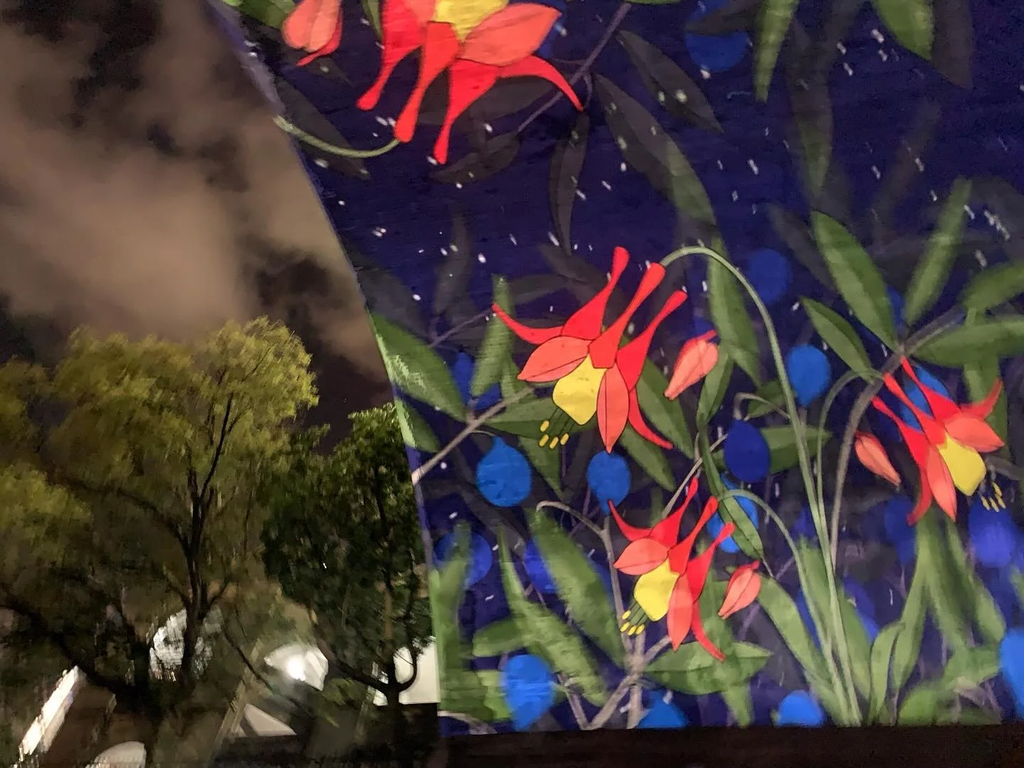 Flowers made of light and the night. @vividsydney 🩷 Incredible!!