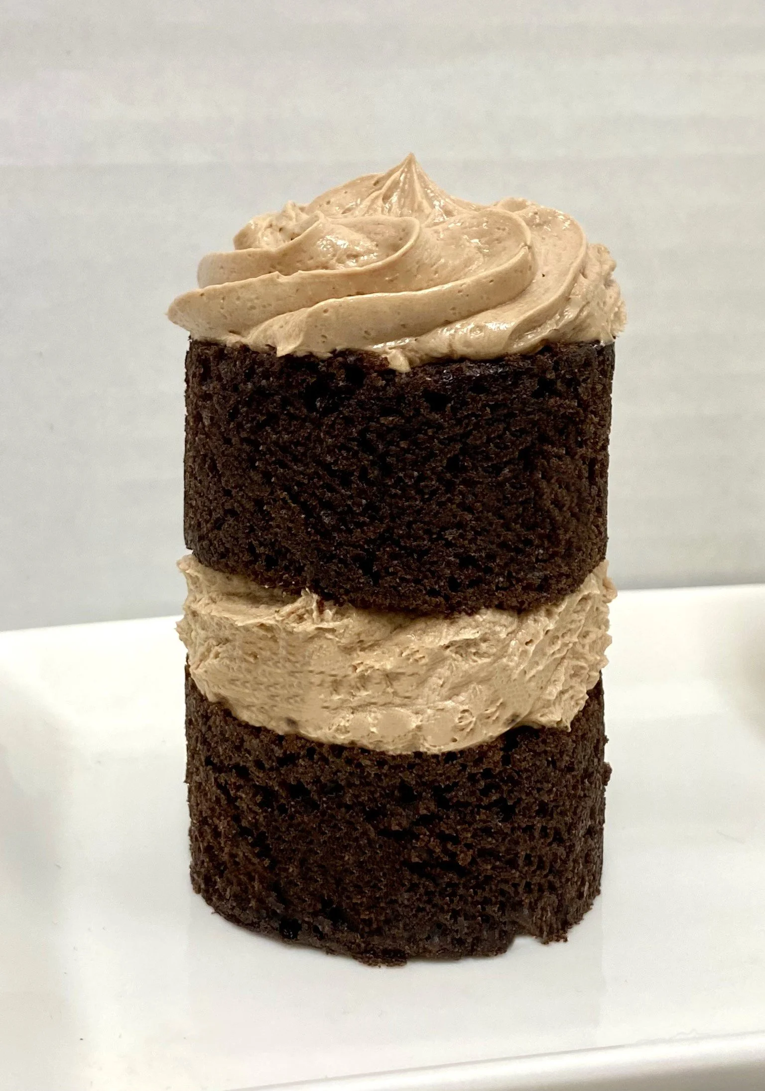 Additional TOGO cake tasting sample — Celebrating Life Cake Boutique