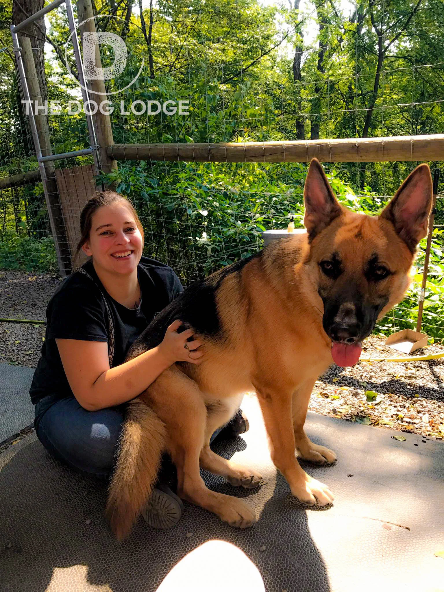 LaurenTheDogLodgeGSD.jpg