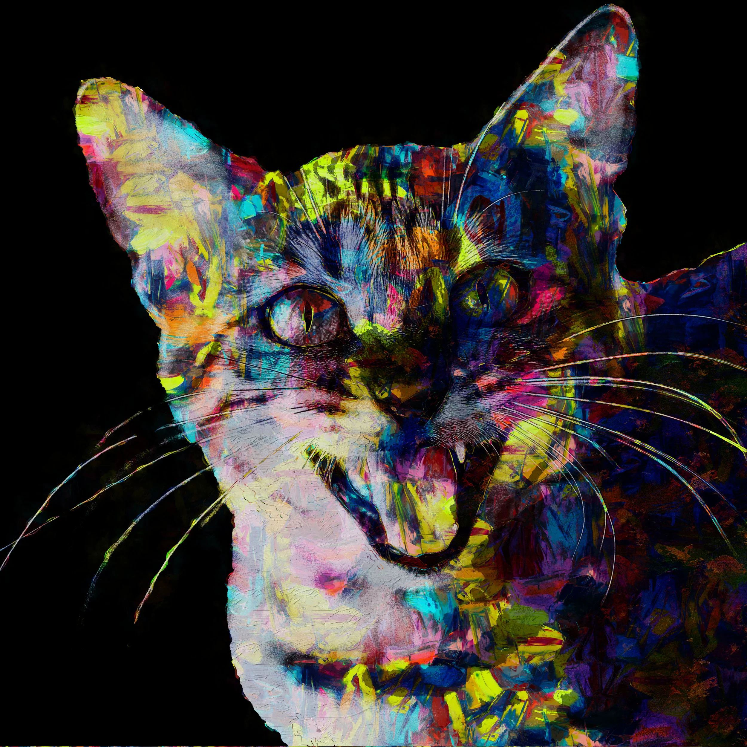 Meow2.jpg