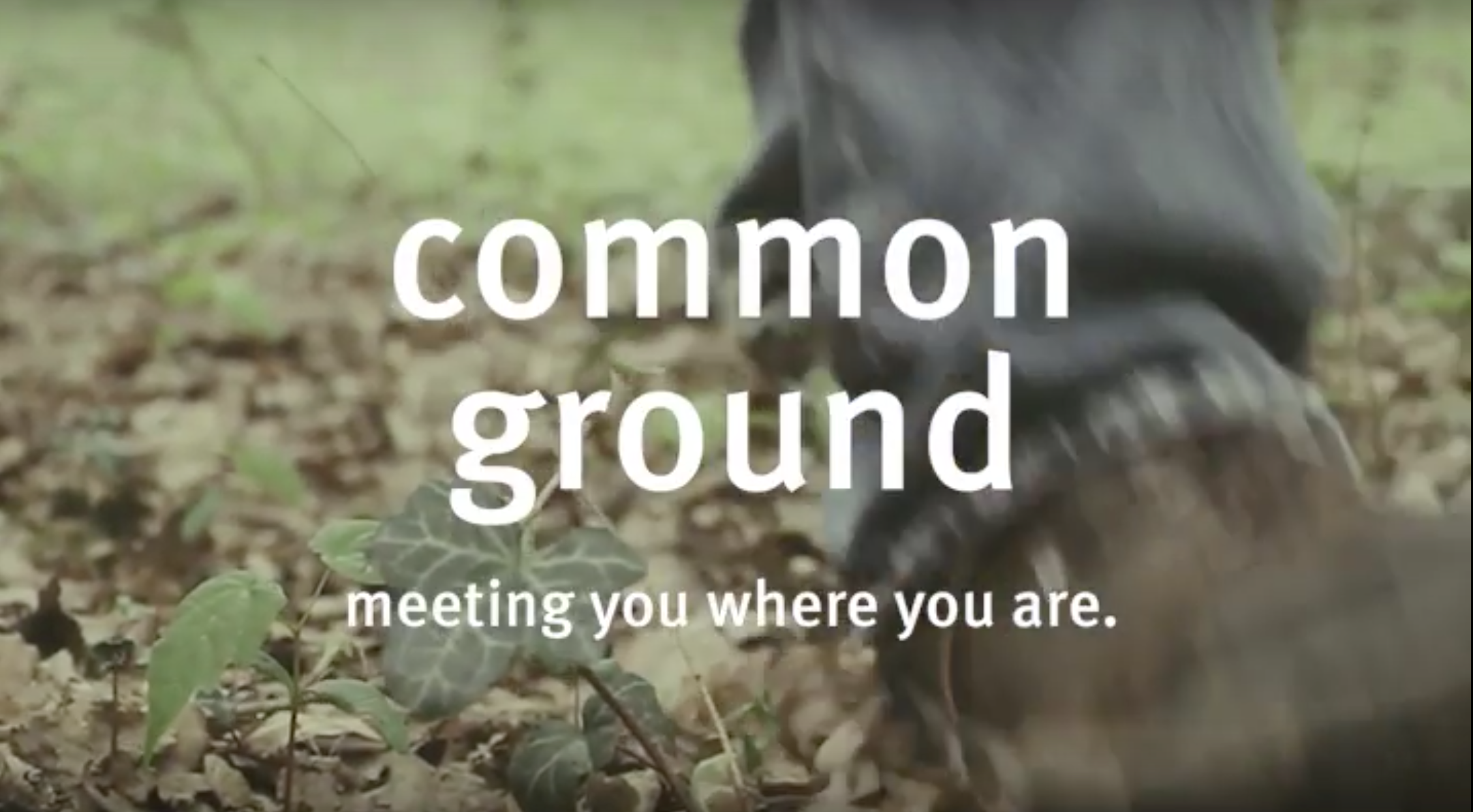 Behind The Scenes: Common Ground’s New Promo Video