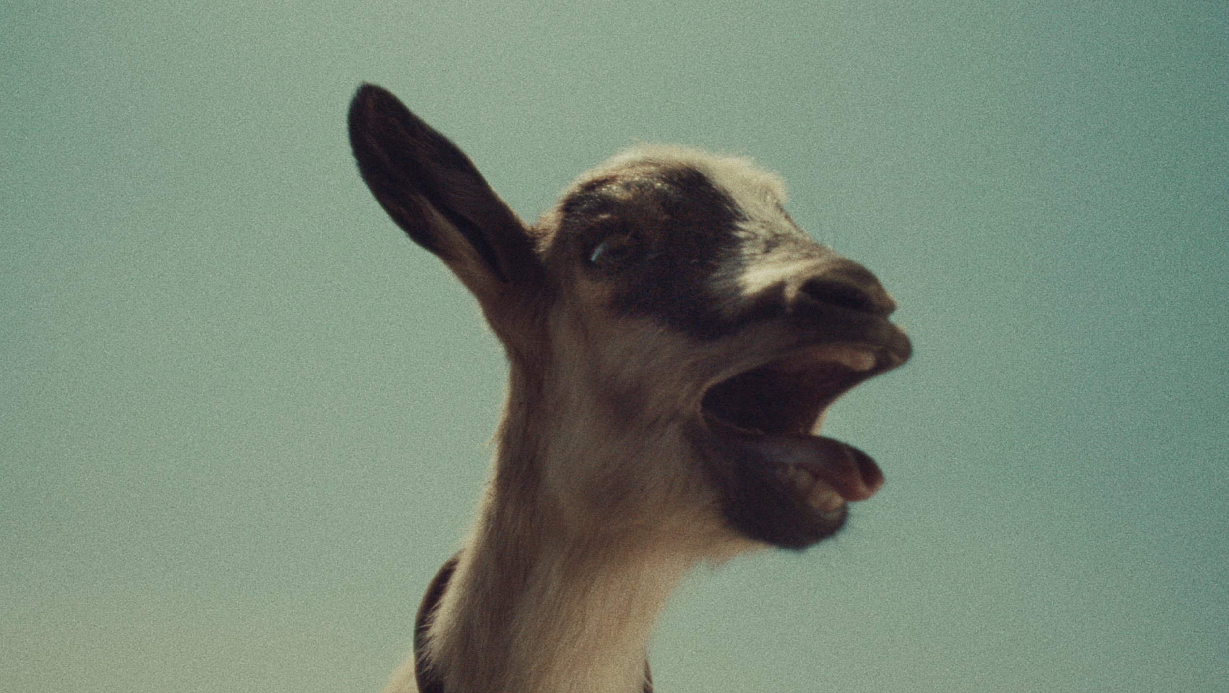 Screenshot 2026-04-27 at 4.47.48 PM.png