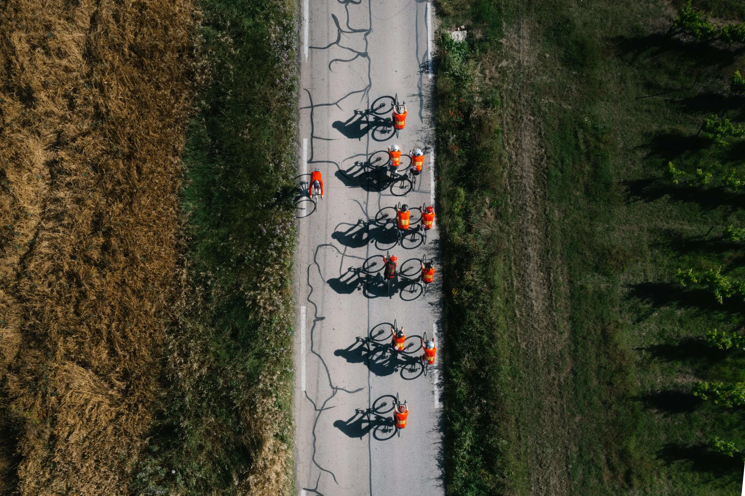 DJI_0558-Edit.jpg
