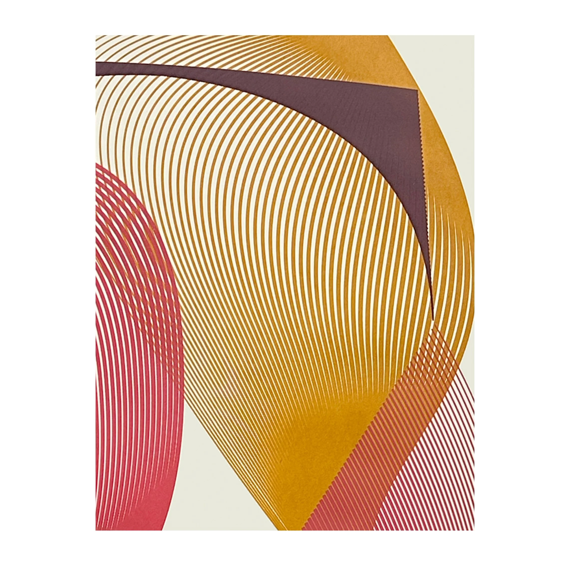 StudioEditionSquare_0007_Layer 1c.jpg