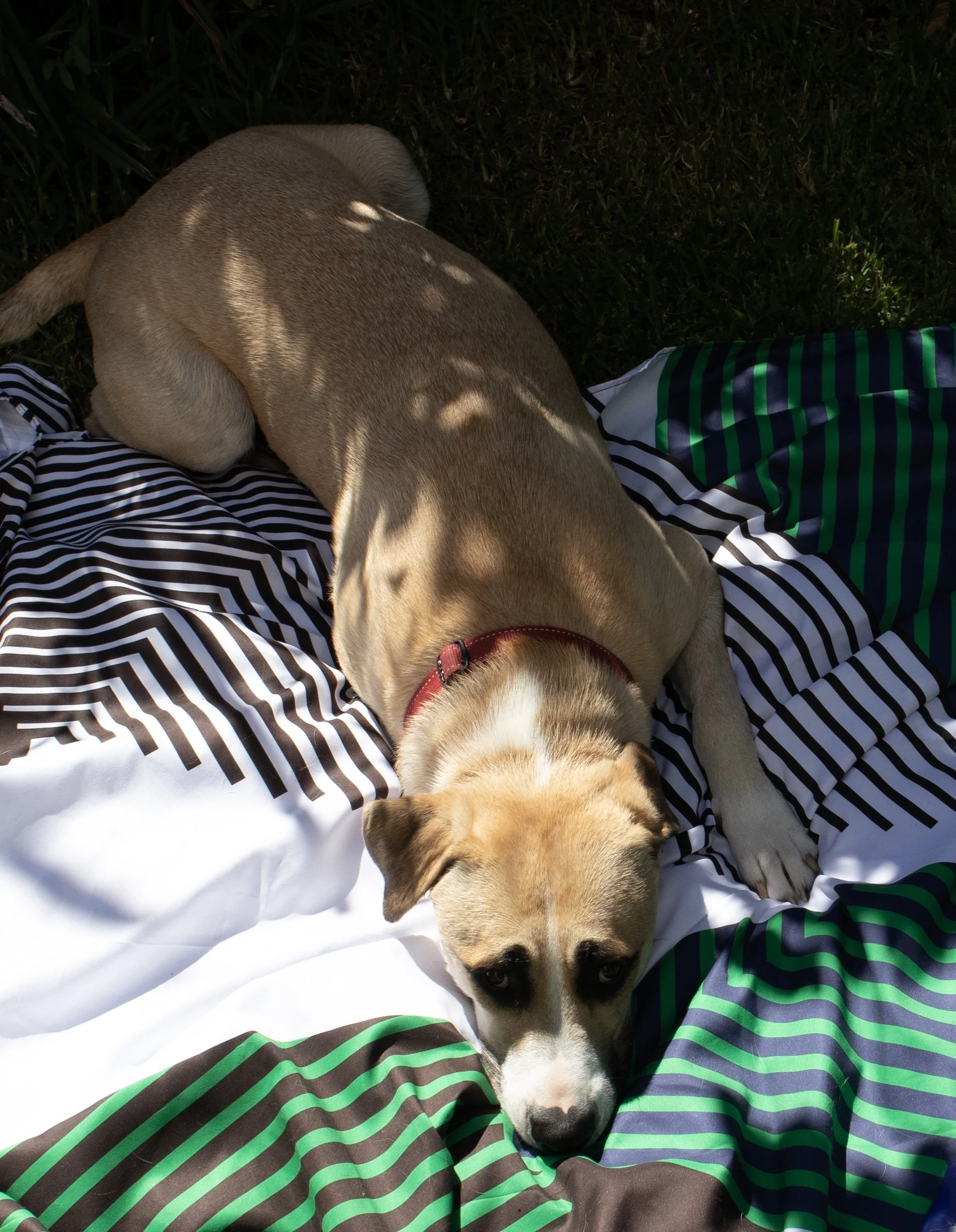 Machine washable_Marv.jpeg