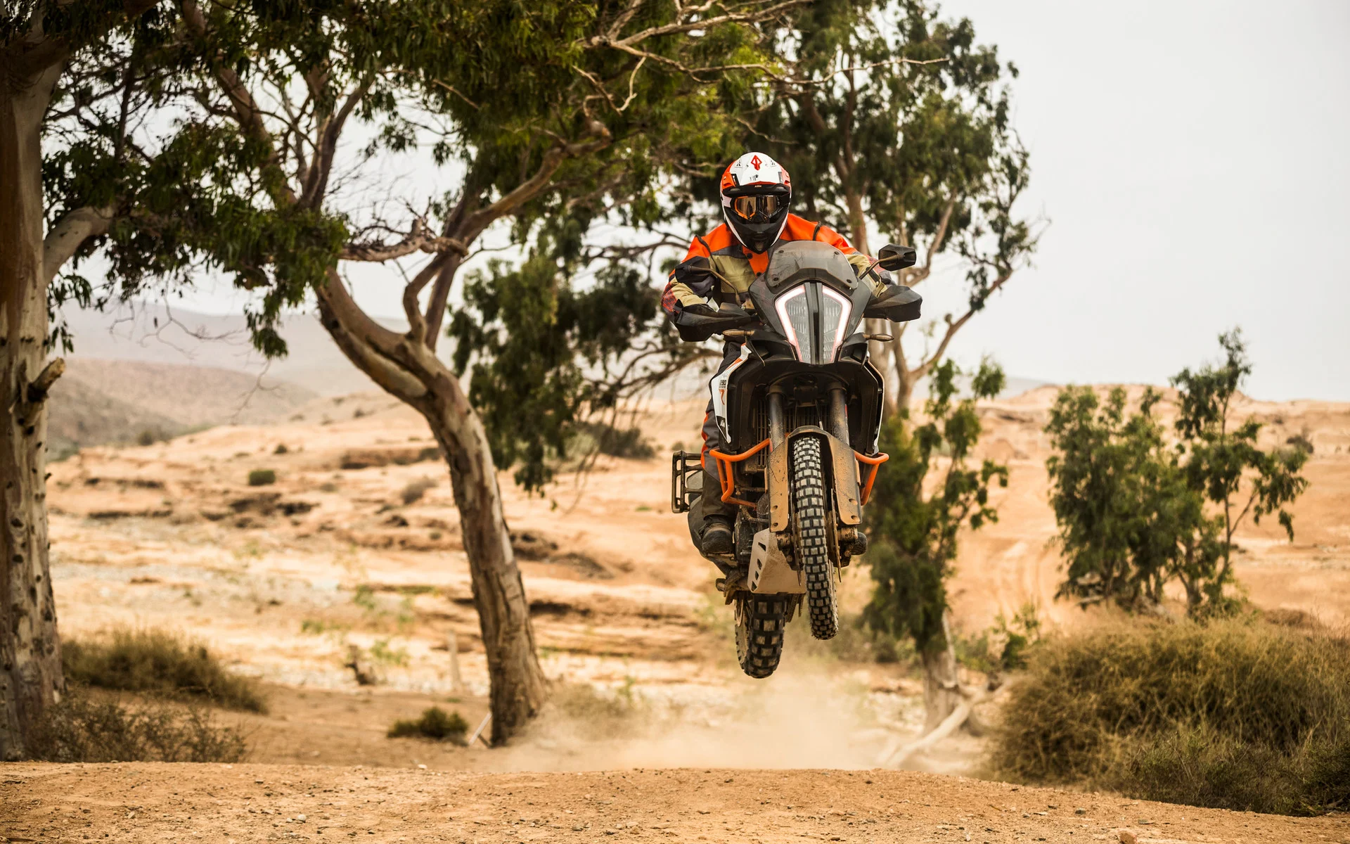 156376_KTM 1290 SUPER ADVENTURE R MY 2017.jpg
