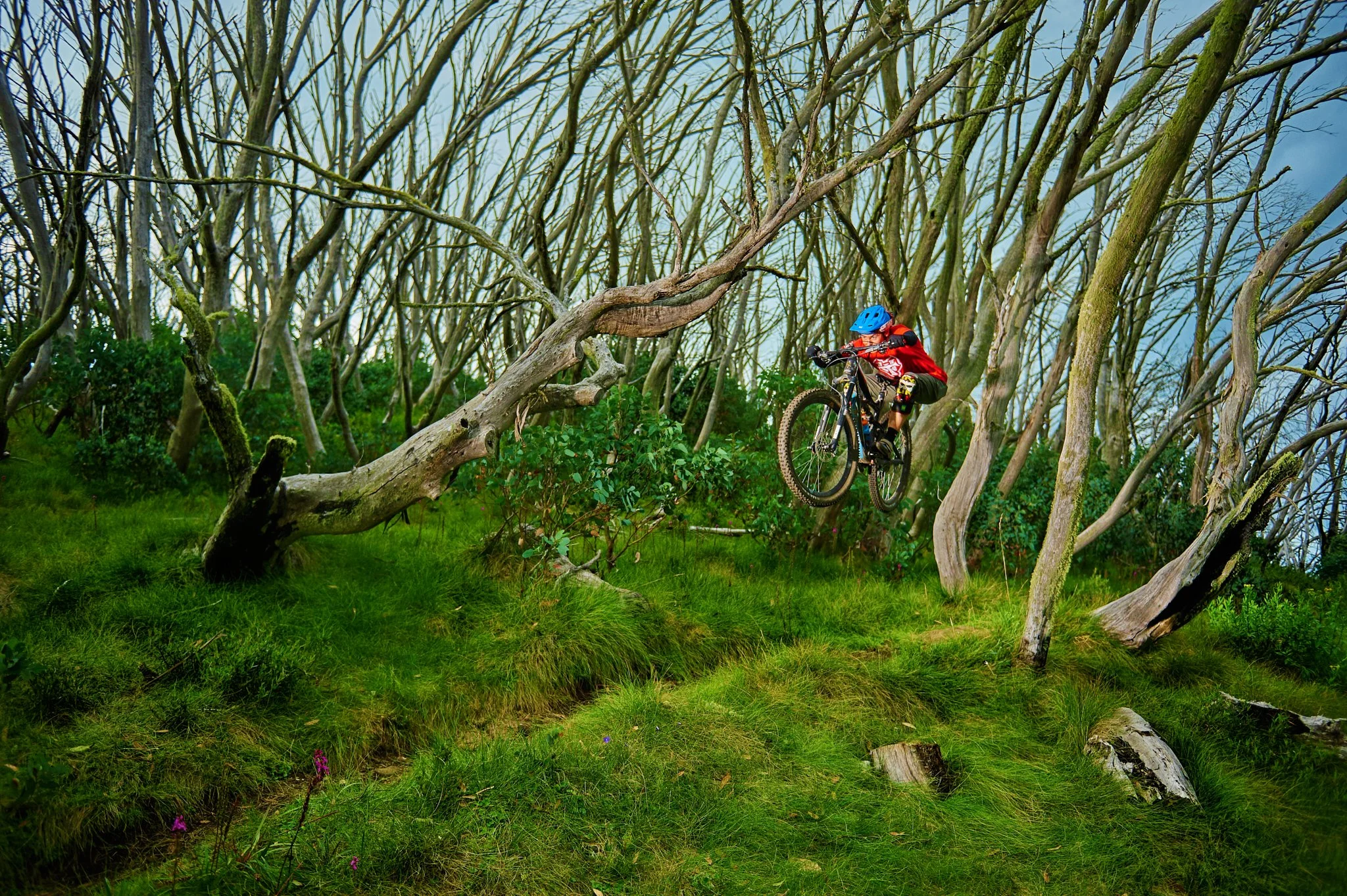 VIC2016-RailtonStewartA-2.jpg