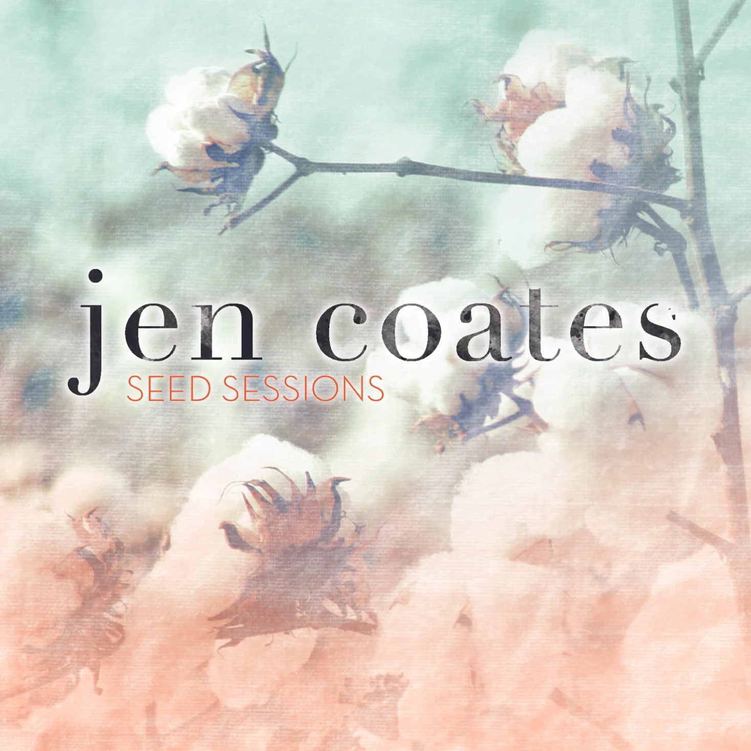 Seed Sessions  CD (2014)