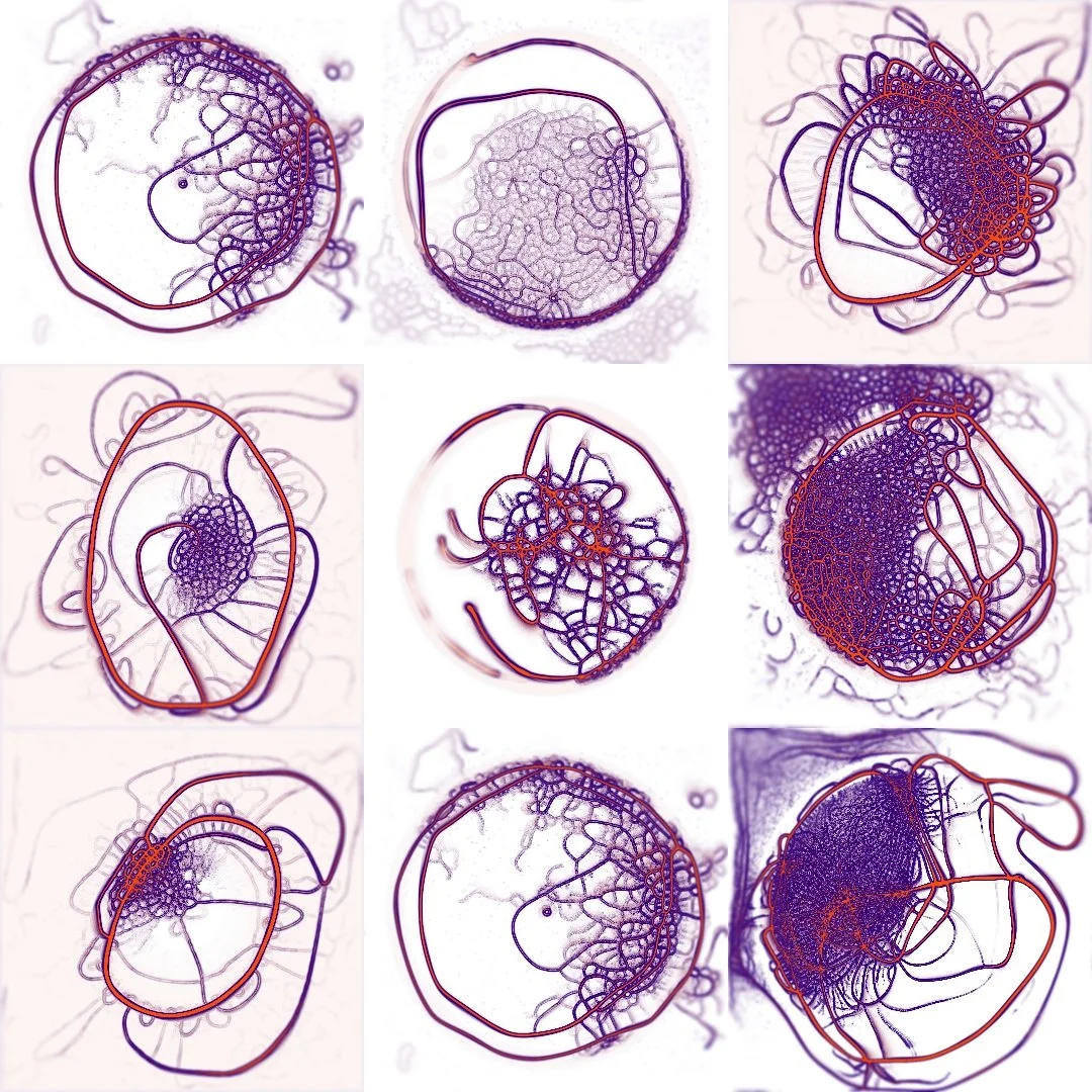 33_layout1_1 XXX.jpeg