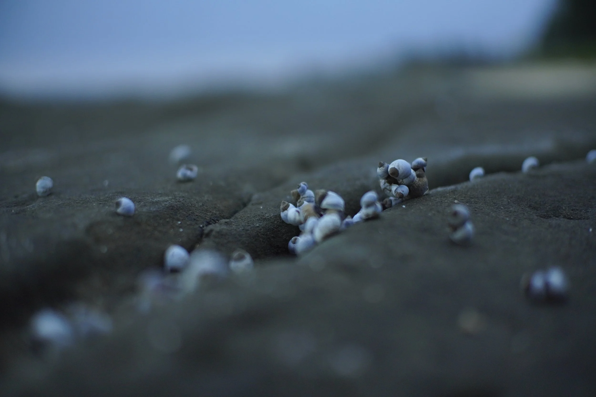Fausto Brusamolino Photography Ocean Sessions
