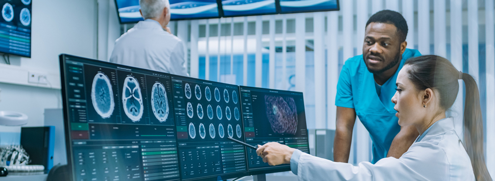 参加BrainBee脑科学活动 — Brain Bee 中国
