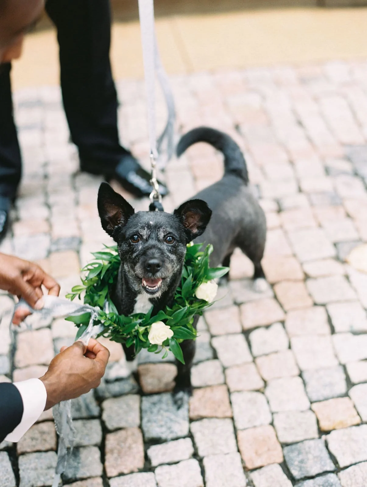 meridian-house-wedding-washington-dc-1008-min.jpg