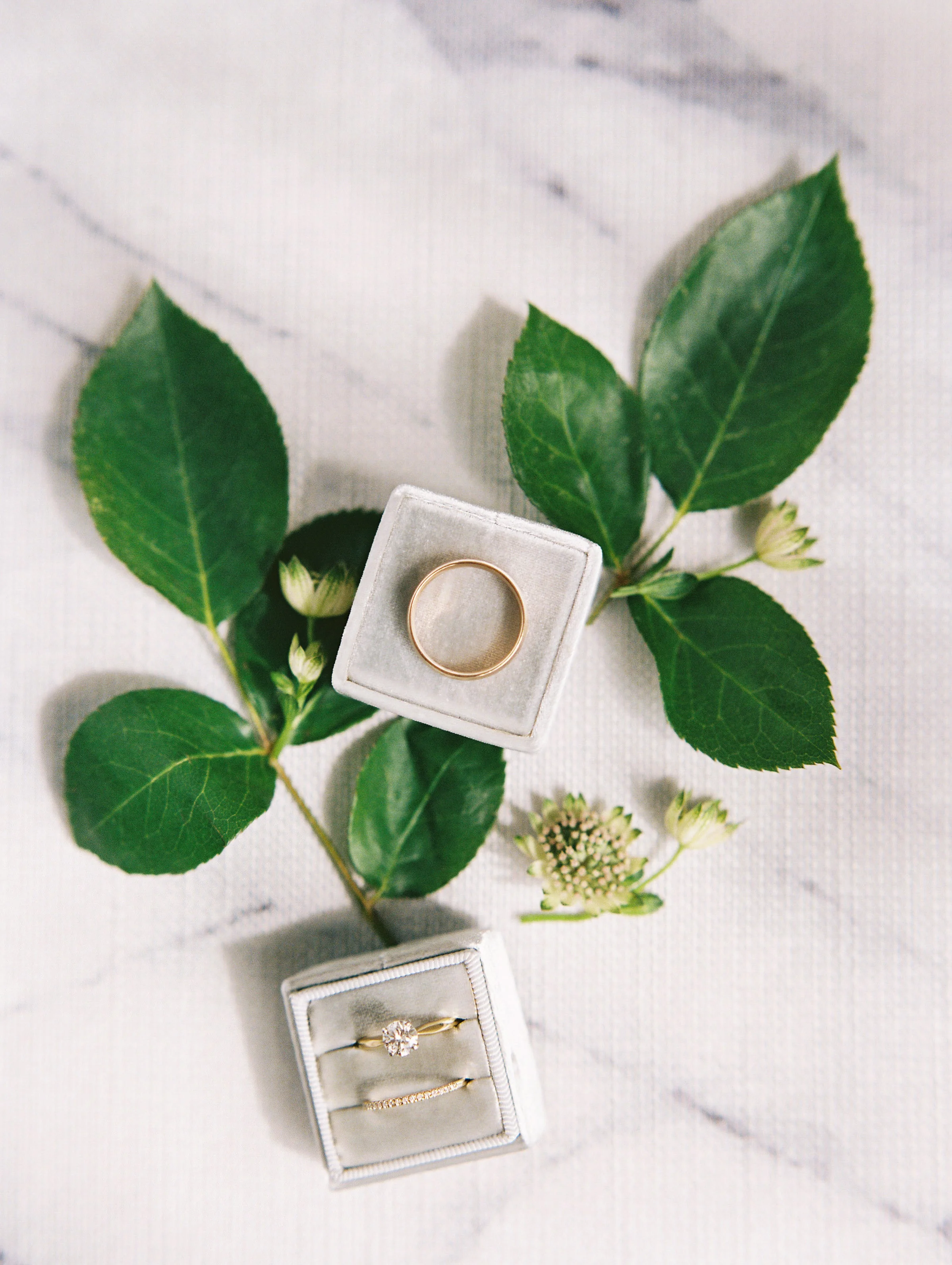 the_line_lauryn_prattes_wedding-3-min.jpg