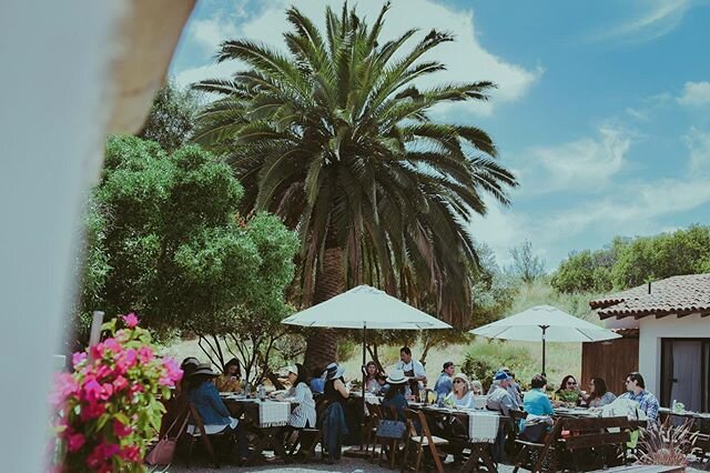 En un mundo perfecto, estariamos planeando nuestro #brunch del d&iacute;a de las madres🌼 hasta el pr&oacute;ximo a&ntilde;o! Disfruten su d&iacute;a mam&aacute;s! #fincaladivina #valledeguadalupe #bedandbreakfast #catering #bajadivina