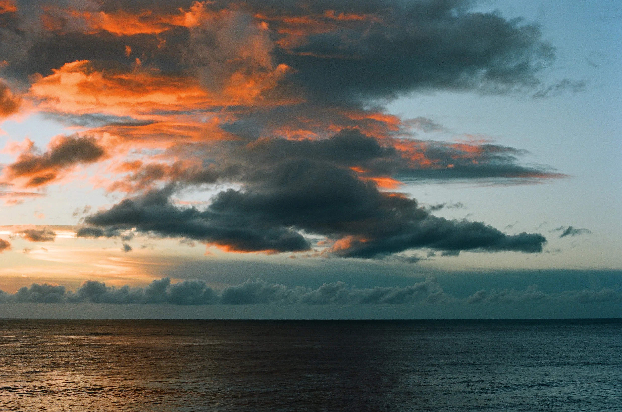JJF_HI_by_Terry_Snyder_34.jpg