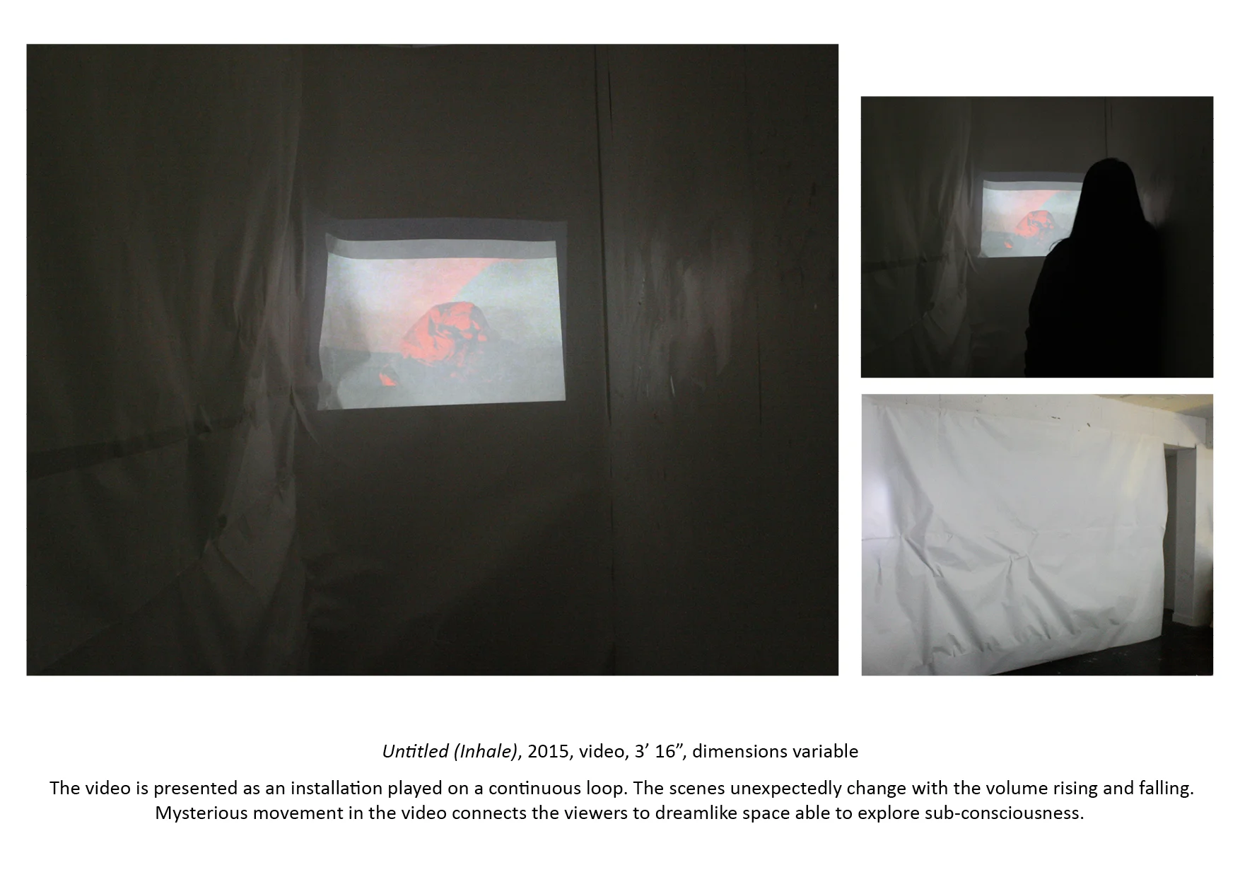 9-Video Installation-Dimensions variable.jpg