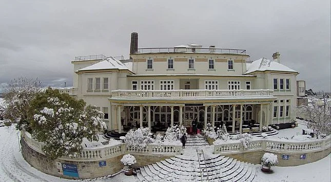 A Curious High Tea with David Dyer