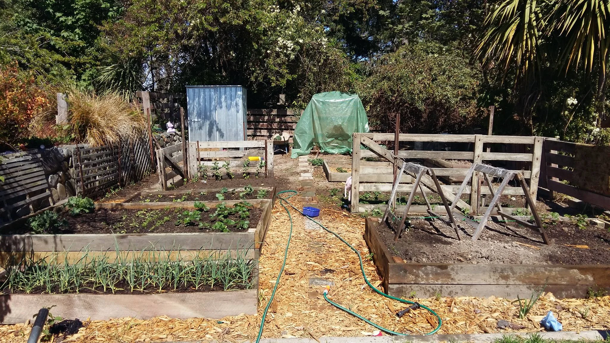 The garden as it is today!